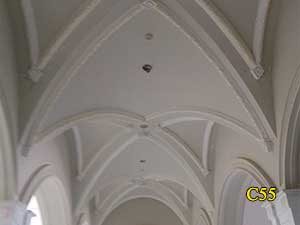 Architectural Ceiling and Medallions