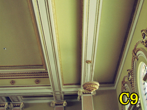 Architectural Ceiling and Medallions 9